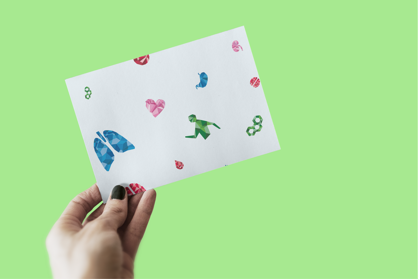 Flash Cards